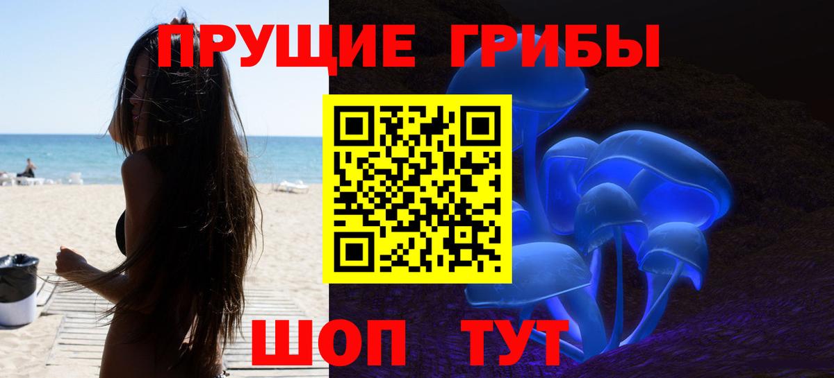 Галлюциногенные грибы прущие грибы Псков